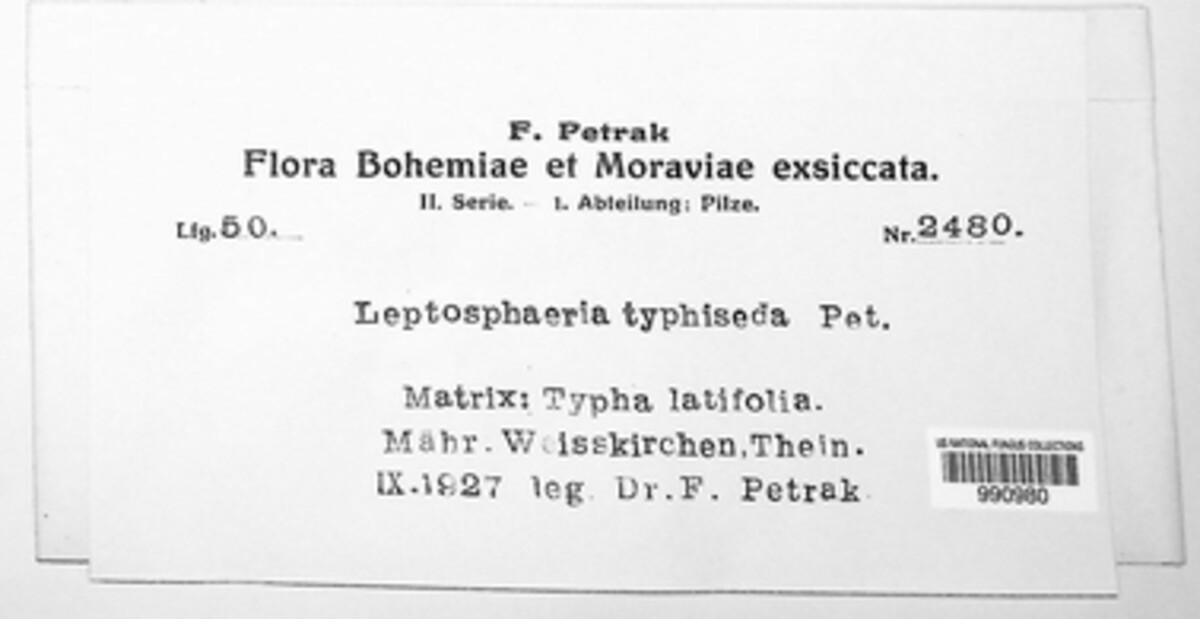 Septoriella image